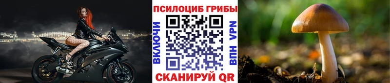 Псилоцибиновые грибы прущие грибы  как найти закладки  Чишмы 